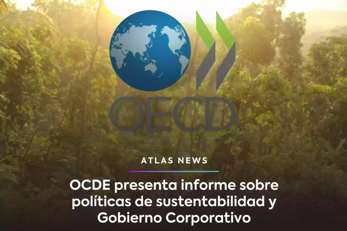OCDE presenta informe sobre políticas de sustentabilidad y Gobierno Corporativo