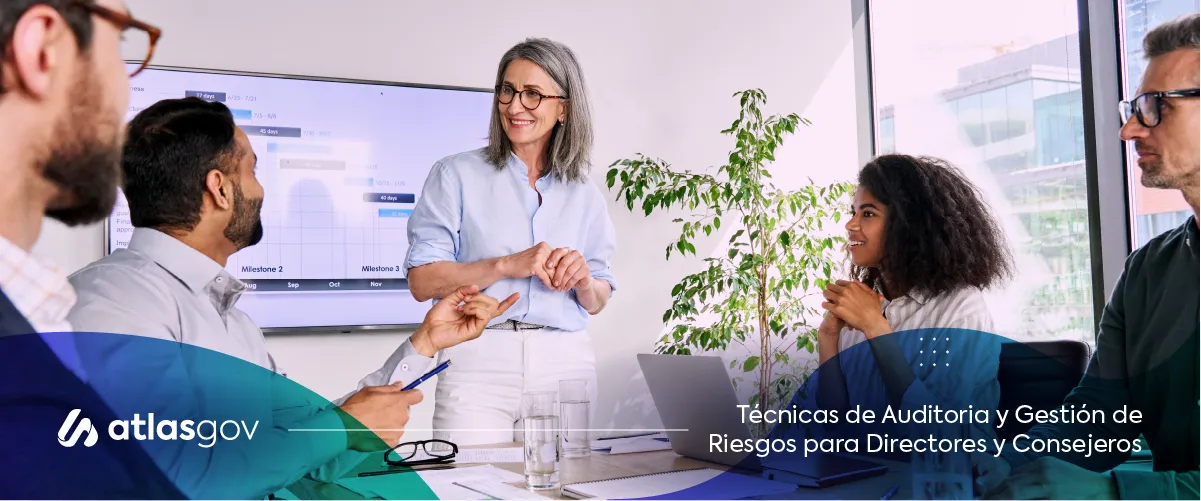 Técnicas de Auditoría y Gestión de Riesgos para Directores y Consejeros