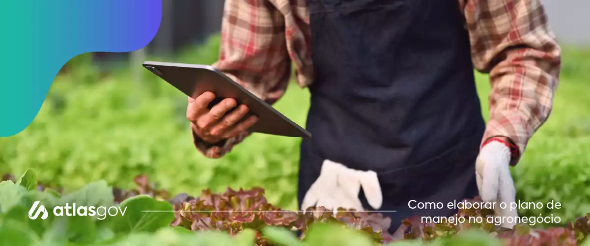 Como elaborar o plano de manejo no agronegócio