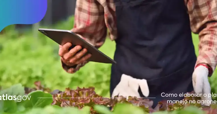 Como elaborar o plano de manejo no agronegócio