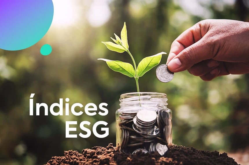 Índices ESG: saiba o que são e como funcionam os ESG Index