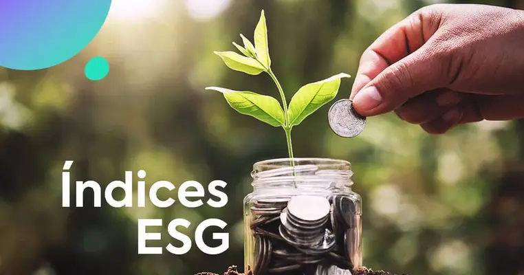 Índices ESG: saiba o que são e como funcionam os ESG Index