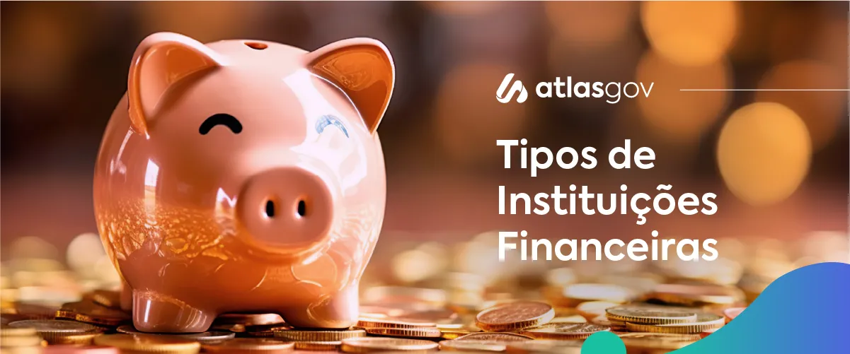 Tipos de Instituições Financeiras