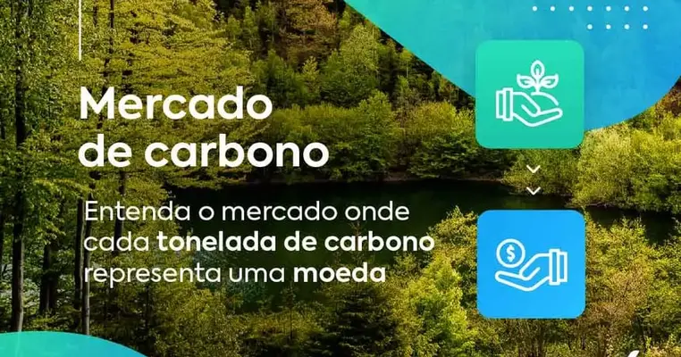 Mercado de carbono: o que é e como funciona