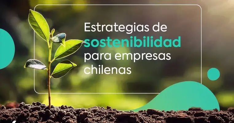 Estrategias de sostenibilidad para empresas chilenas