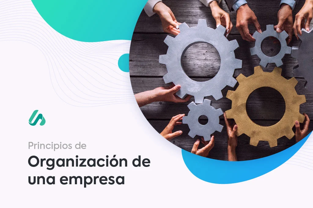 Principios de la organización para la gestión empresarial