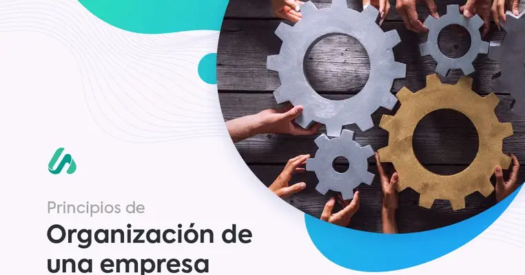 Principios de la organización para la gestión empresarial