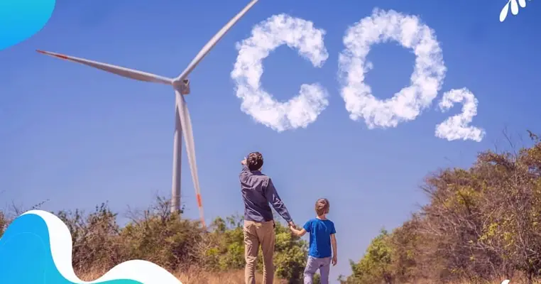 Carbono Zero: o que é e como aplicar em sua empresa