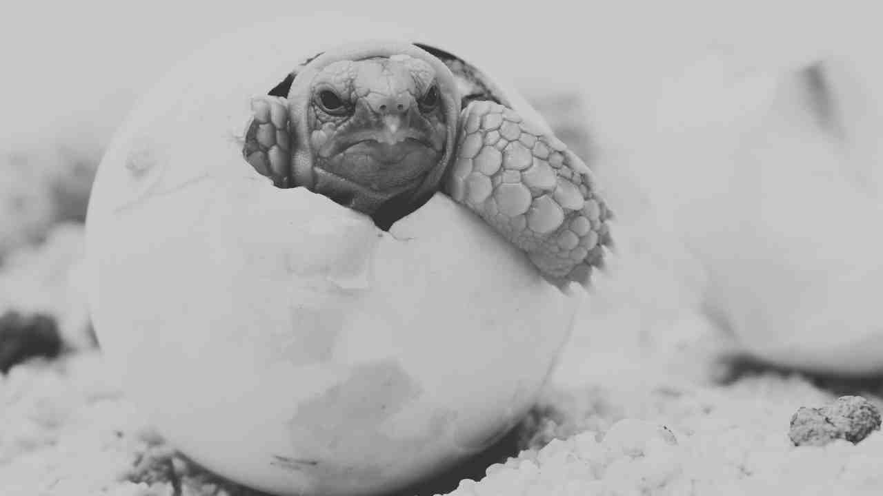 Modular Feedback's First Blog Post