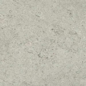 Close-up of a textured gray stone surface with swirls and speckles, resembling natural marble or granite patterns.