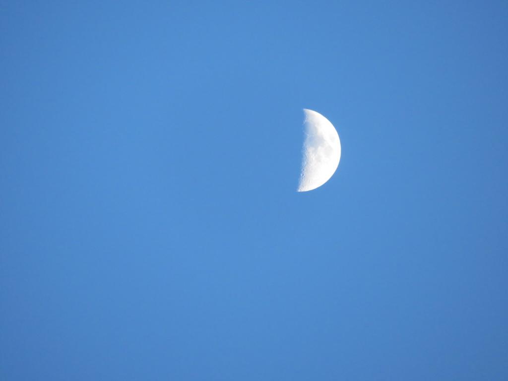 anna's moon