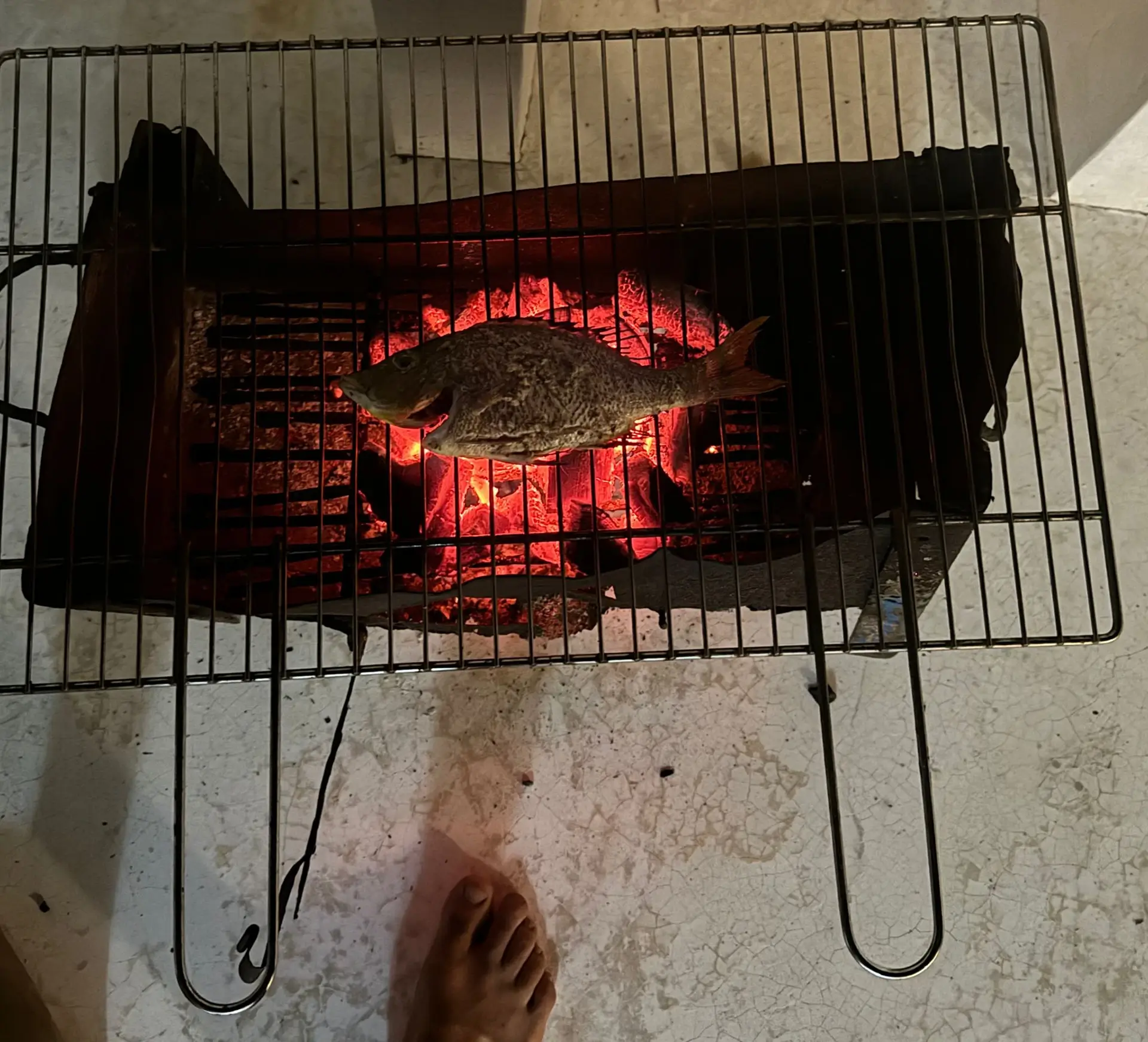 jack's fish