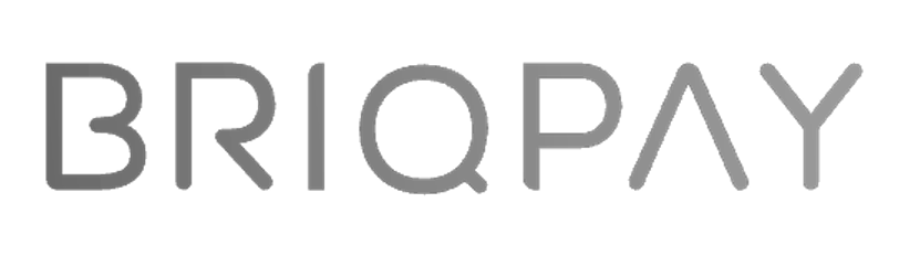 Briqpay grey logo