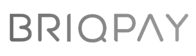 Briqpay grey logo