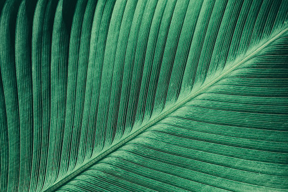 Architecture with water reflection