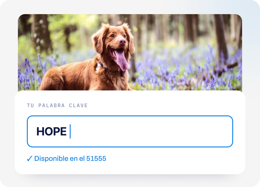 Palabra clave personalizada para donar por SMS.
