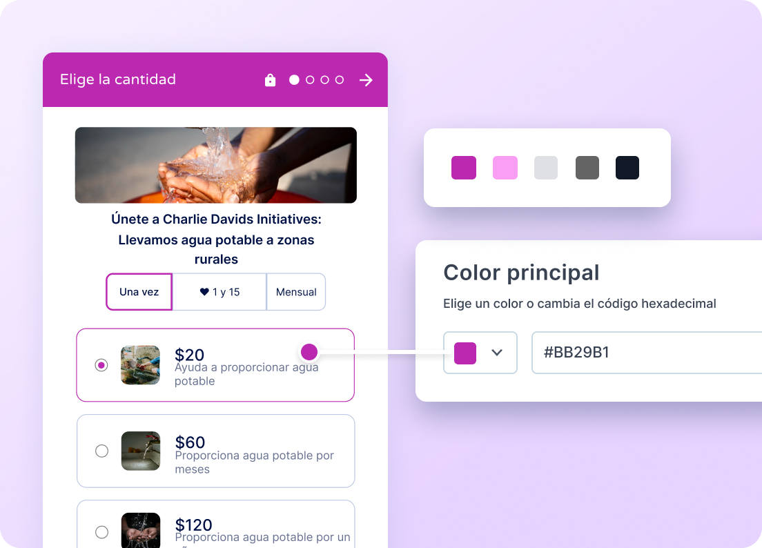 Personalización de colores del formulario de donación