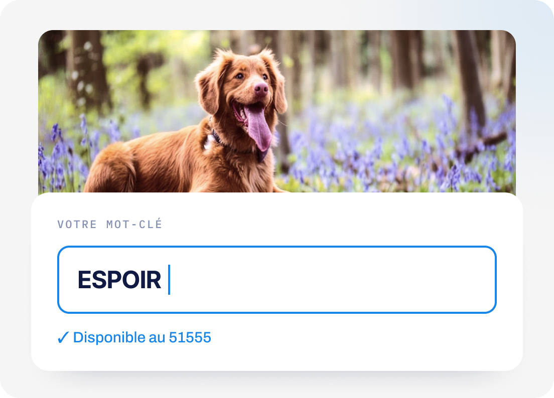 Exemple de mot-clé personnalisé pour faire un don