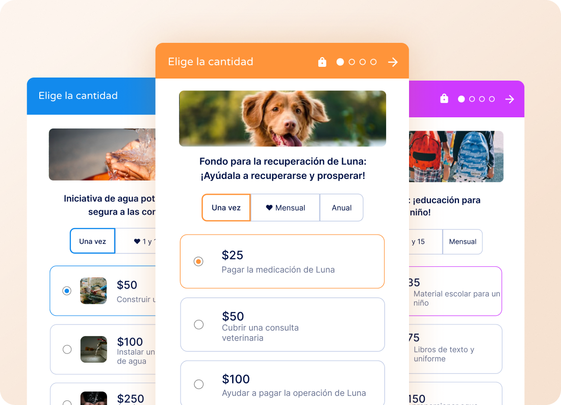 Pago de una donación en móvil y escritorio