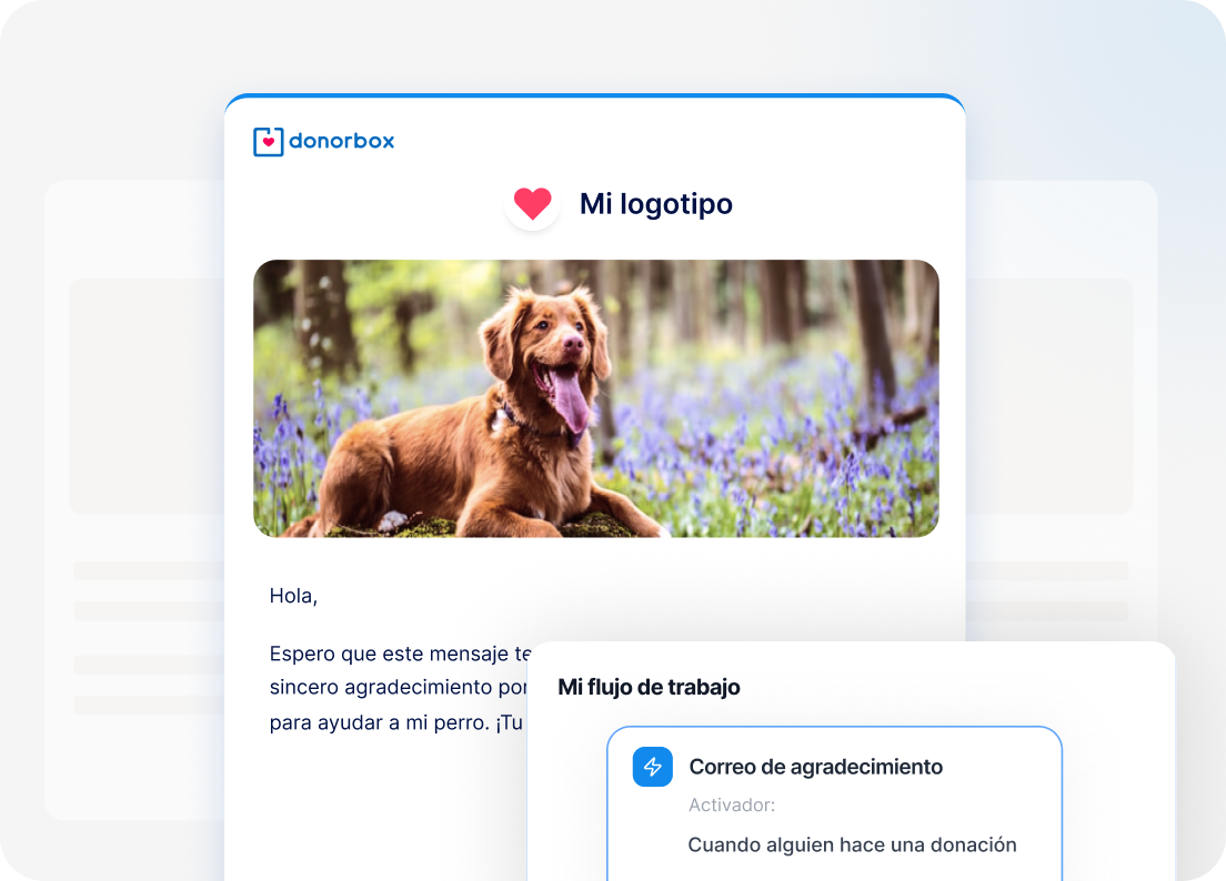 Editor de correo de agradecimiento con foto de mascota y flujo de notificación al donante.