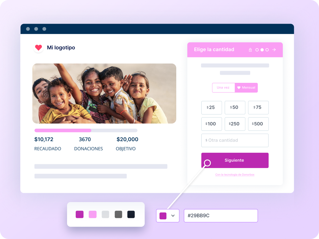 Página de donación personalizada con la identidad visual de una organización.