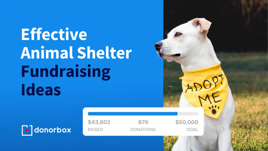White dog with "Adopt Me" bandana sits on grass. Text reads "Effective Animal Shelter Fundraising Ideas." Donation progress bar below.