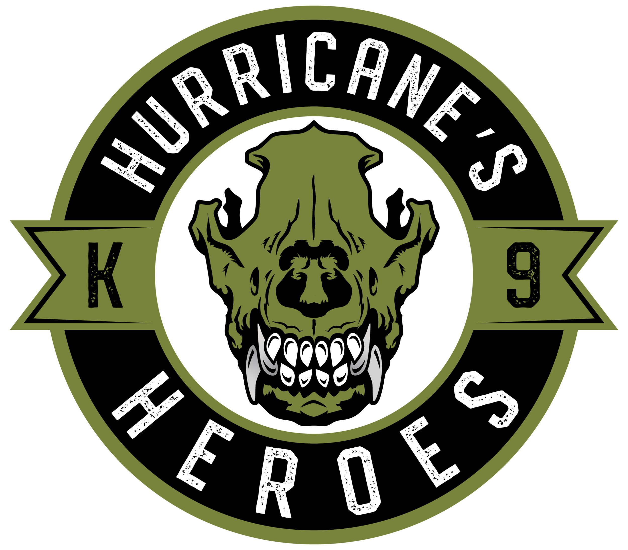 hurricanes heroes
