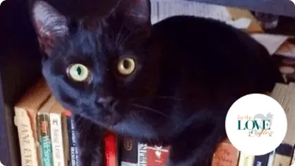 Black cat with bright eyes sitting on a bookshelf, surrounded by various books. A white logo is in the corner.
