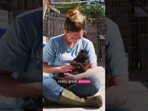 Woman sitting outdoors, holding and petting a fluffy puppy. She wears a blue shirt and boots, with a fenced area in the background.