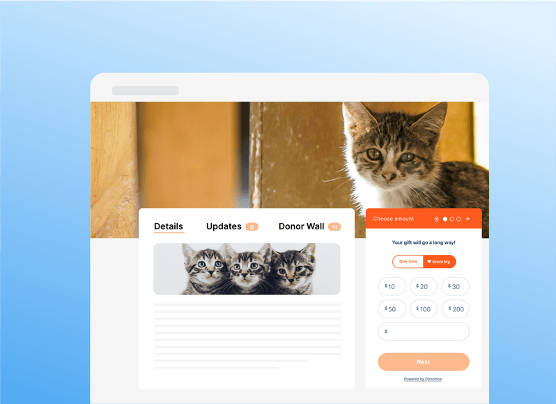 Online donation form featuring cute kitten images, with options to select gift amounts and a "Next" button on a blue gradient background.