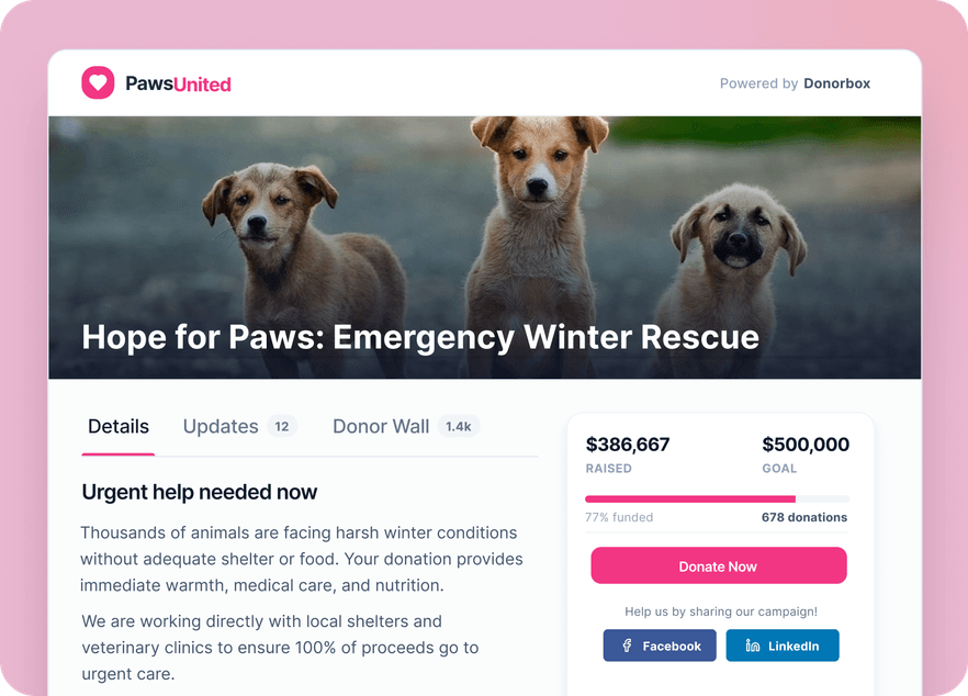 Three puppies on a donation webpage for "Hope for Paws: Emergency Winter Rescue," showing funds raised and donation details.
