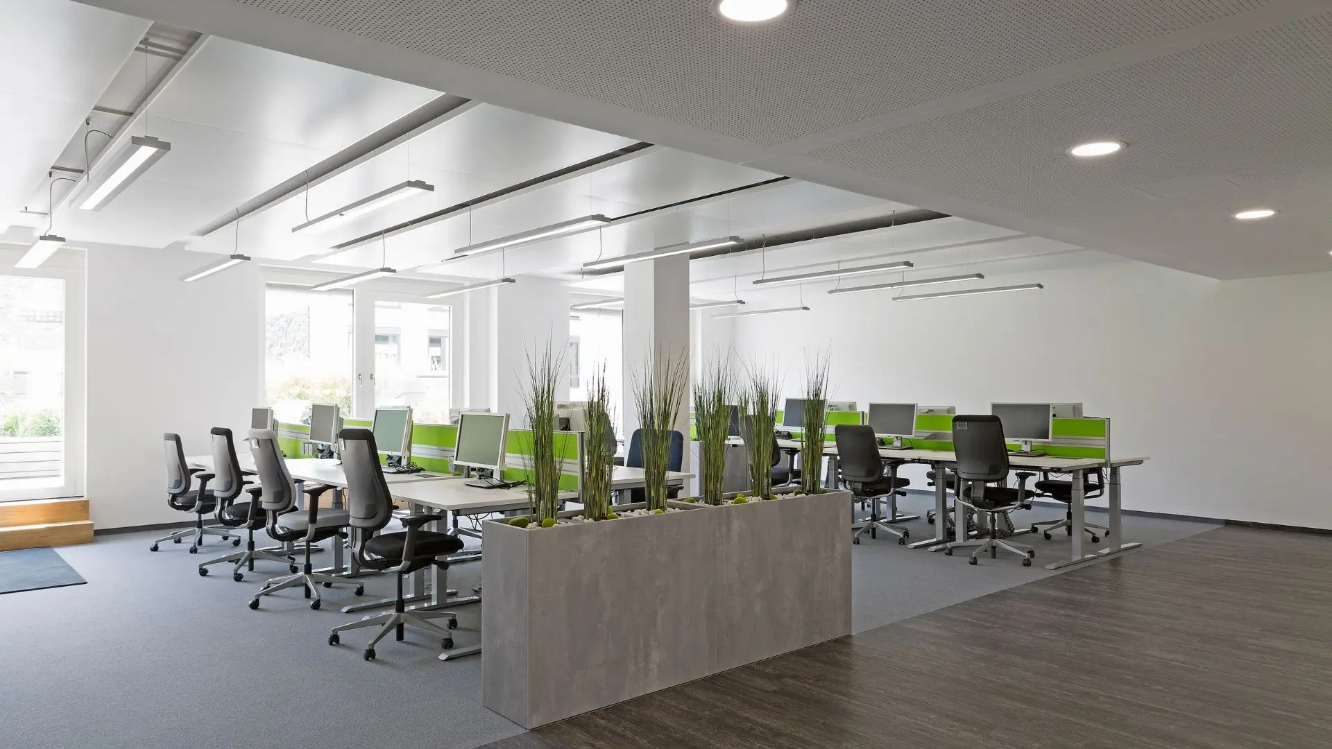 Modern open-plan office with rows of desks and chairs, accented by green dividers and a central planter with tall grass-like plants.