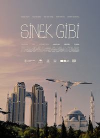 Sinek Gibi film posteri