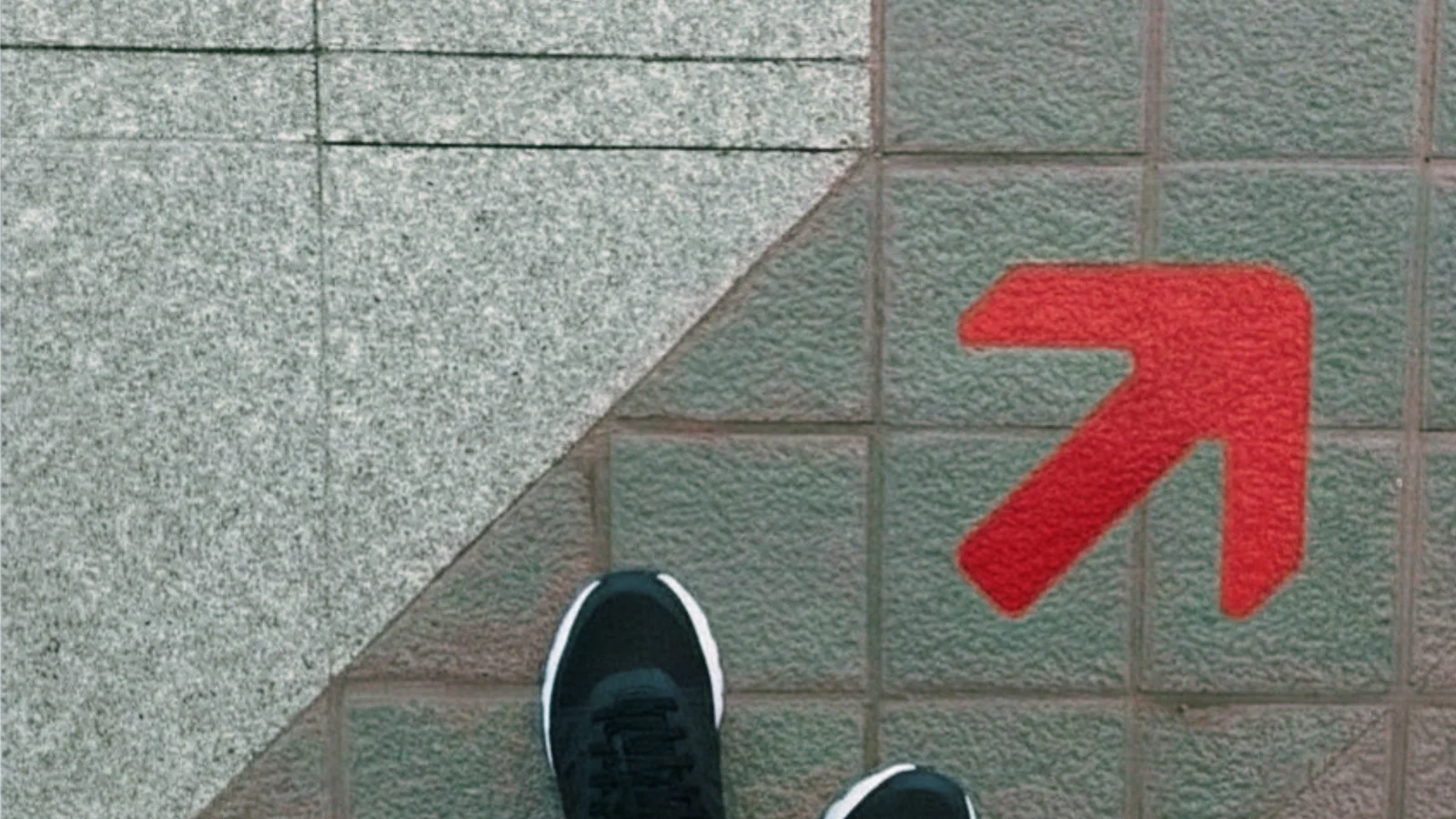 Your way to us