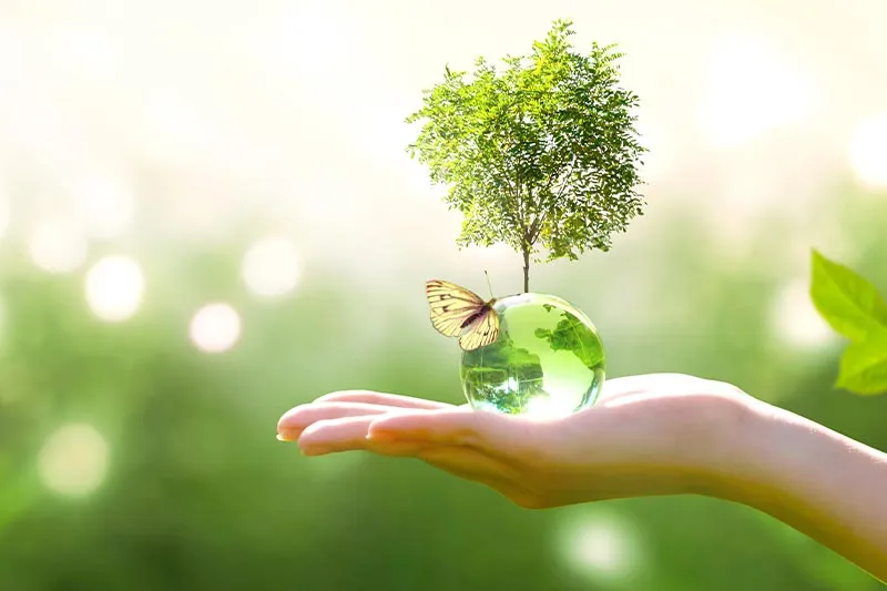 Intensifying our commitment to climate protection