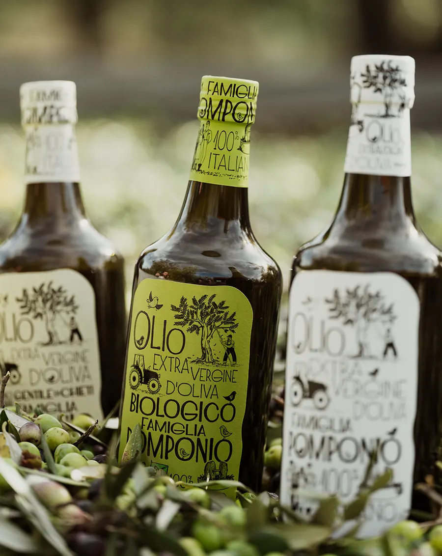 Tre bottiglie di Olio Extravergine Famiglia Pomponio in diverse varietà — Gentile di Chieti e Biologico — fotografate tra i rami di ulivo