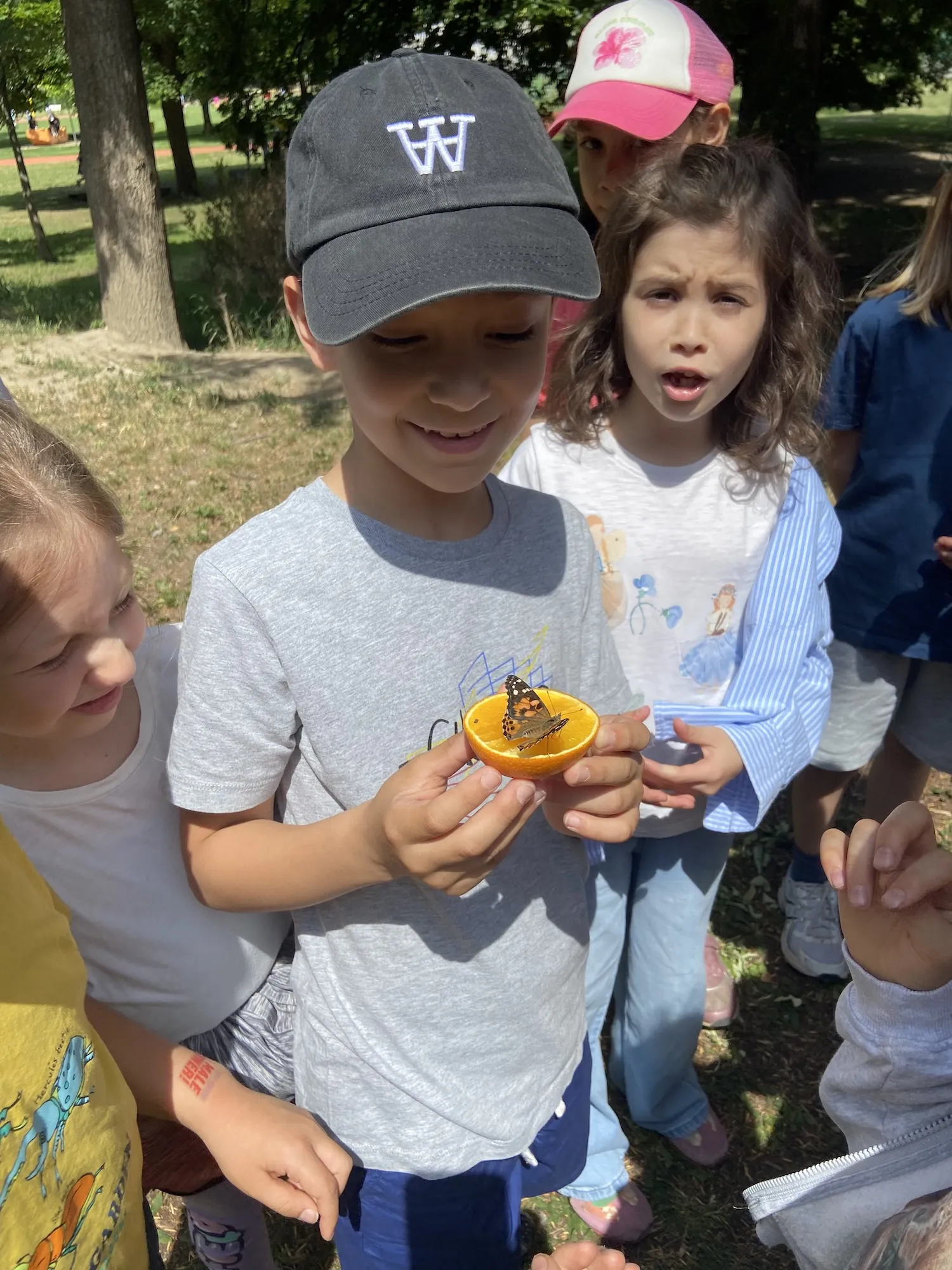 Ein Junge mit einem Basecap hält eine Orangenhälfte in Händen auf der ein Tagpfauenauge sitzt. Weitere Kinder um ihn herum blicken auf den Schmetterling.