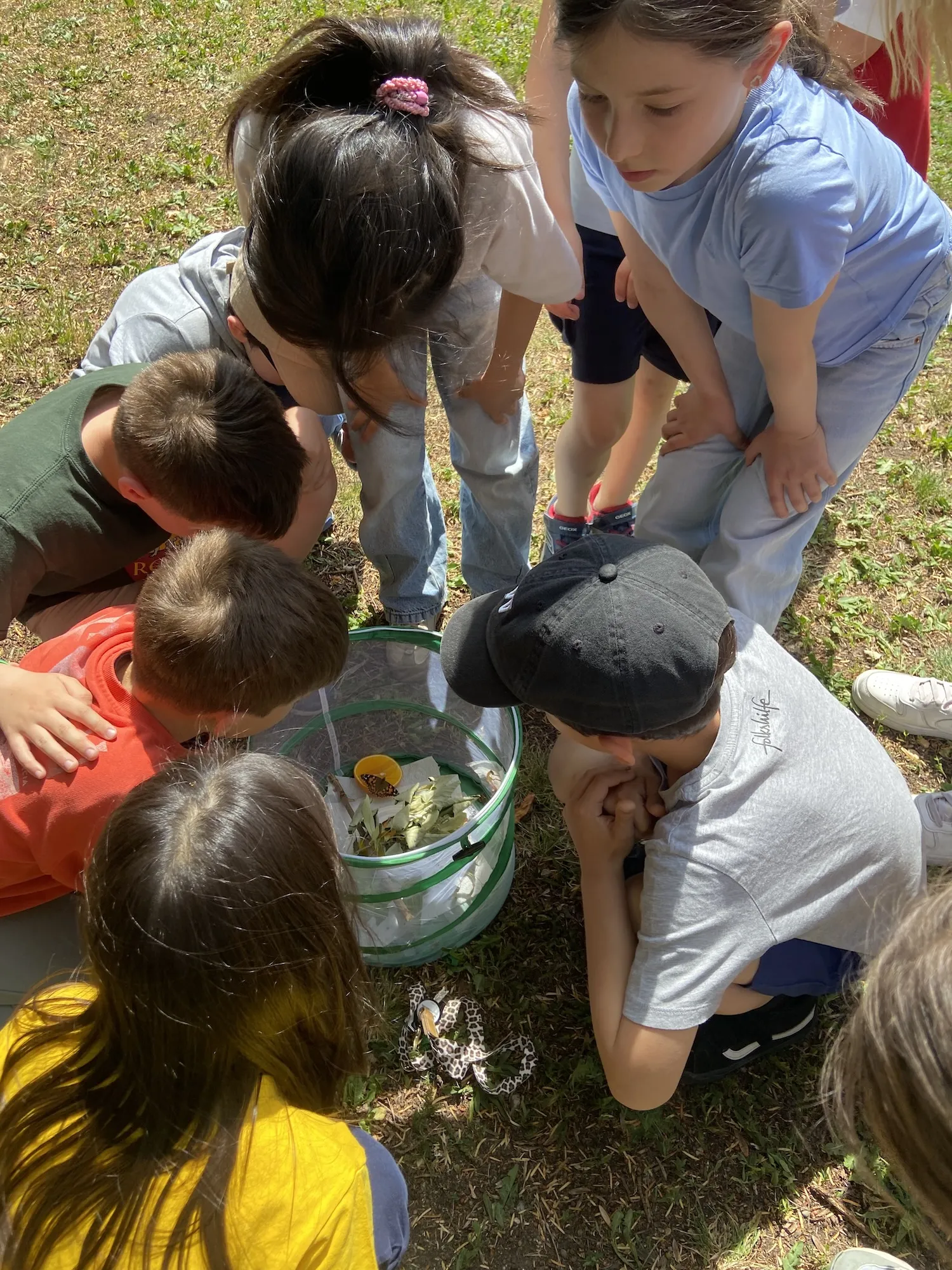 Gruppe von Kindern in einen Netzkorb blickend, in dem sich eine Orangenhälfte, Blätter und ein Schmetterling befinden.