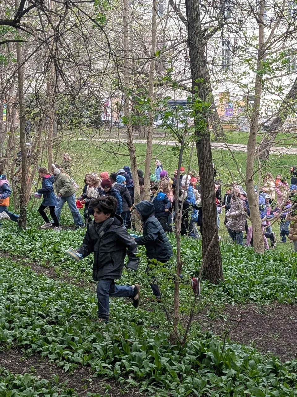 Rund 50 Kinder laufen in ein Waldstück hinein mit Osterkörbchen in den Händen haltend und warm bekleidet