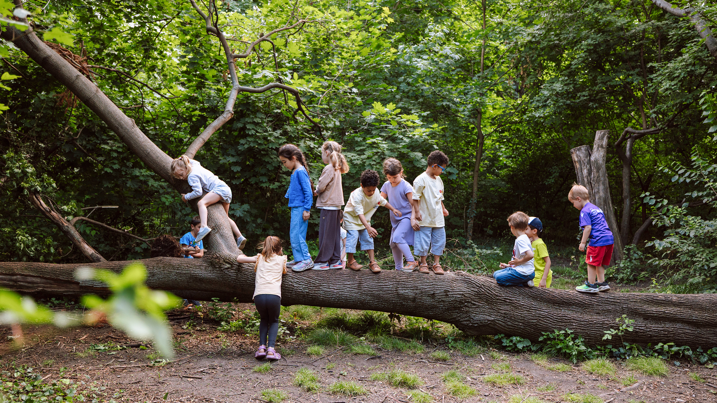 Gruppe von Kindern an einem sommerlichen Tag auf einem umgefallenen Baumstamm balancierend, kletternd und sitzend.