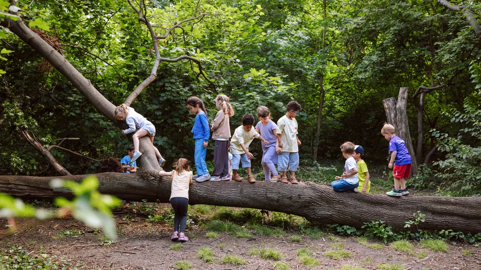 Gruppe von Kindern an einem sommerlichen Tag auf einem umgefallenen Baumstamm balancierend, kletternd und sitzend.