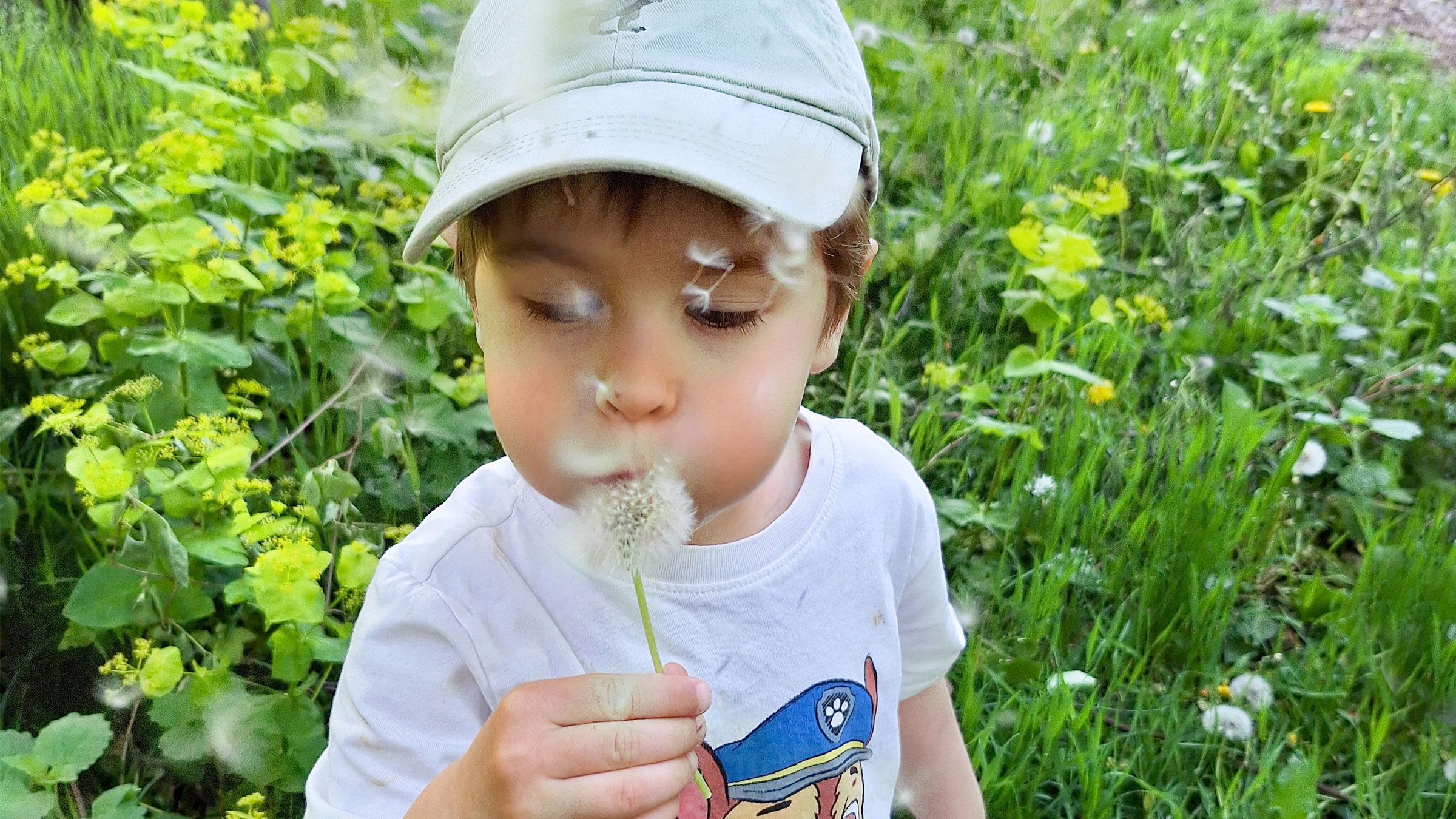 Kleiner Bub mit grauer Kappe und aufgeblasenen Backen eine Pusteblume wegpustend