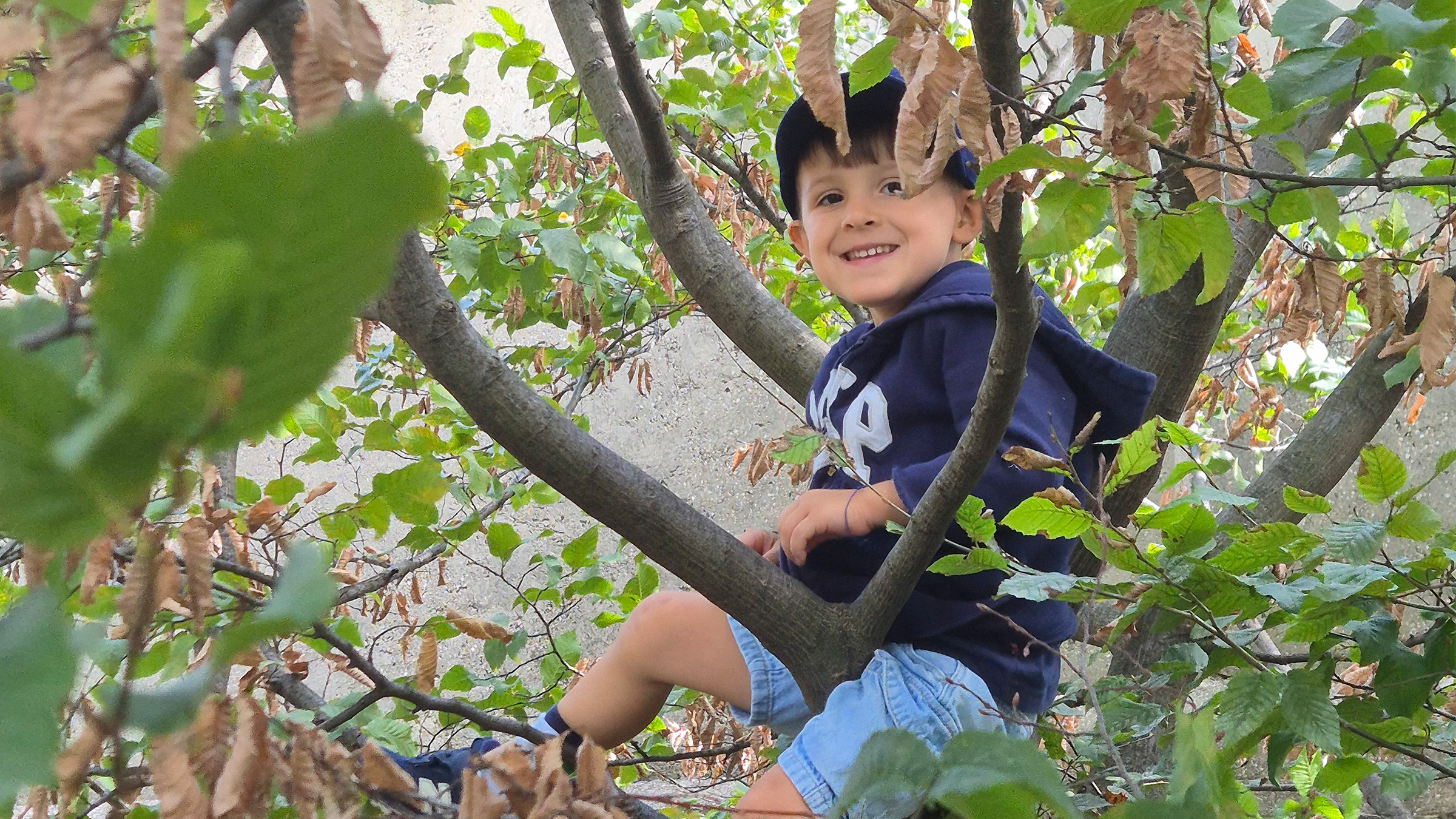 Bub mit blauer Kappe und kurzer Jeans in einer Kastanienbaumkrone sitzend und die Kamera lachend