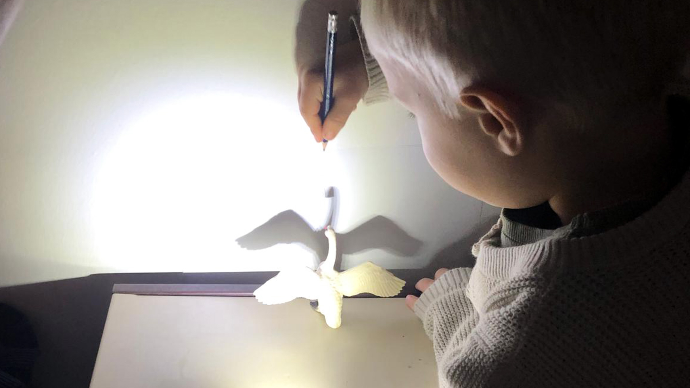Kleiner Bub vor einer hellen Wand mit einer kleinen Schwanfigur den Schatten des Schwanes markieren.