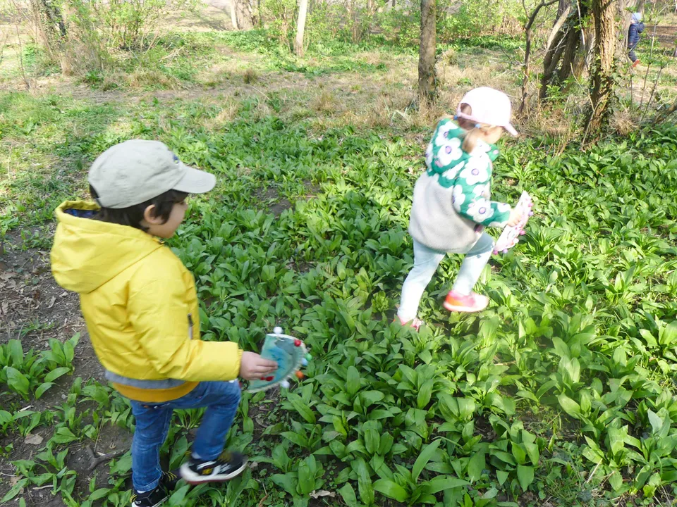 Zwei Kinder von hinten zu sehen durch einen Wald mit Bärlauch laufend.