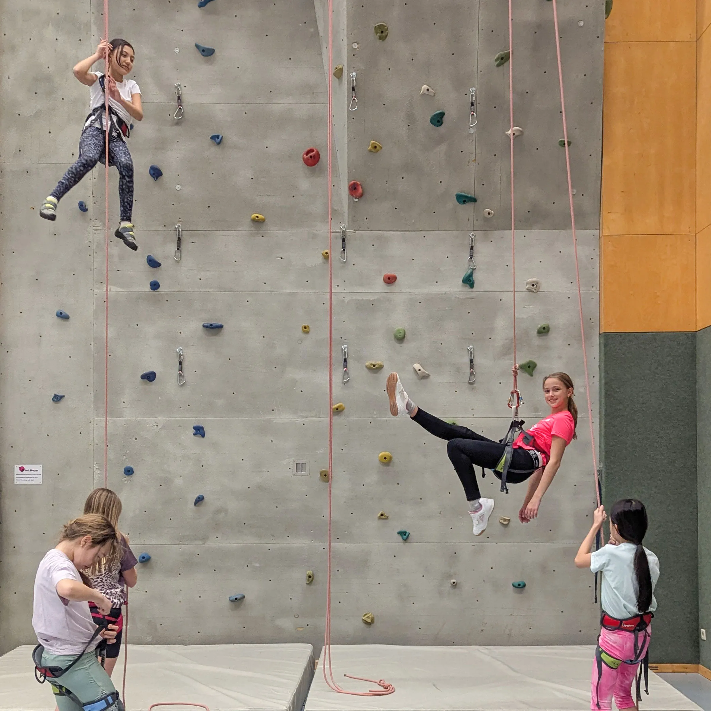 Gruppe von jungen Mädchen in Turnkleidung an einer Kletterwand teilweise kletternd, baumelnd und sichernd.
