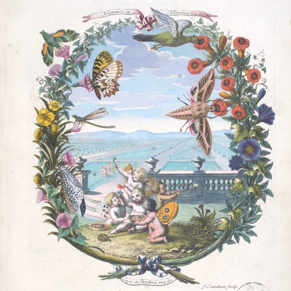 Handkoloriertes Fronzispiz mit Putti auf einer Wiese umrahmt von Blumenranken.