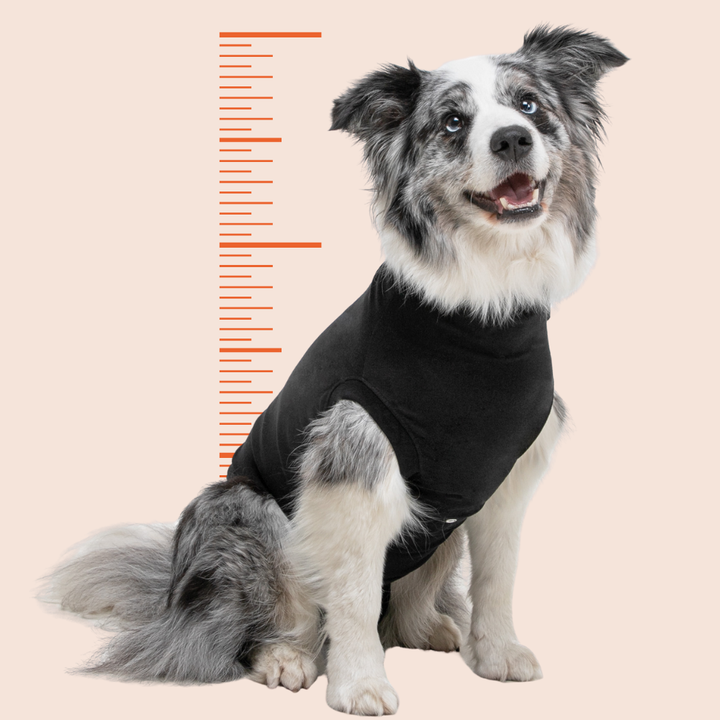 suitical-dog-recovery-suit-black-measure