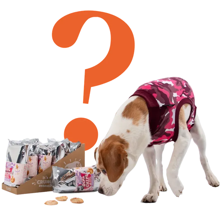 Dog in a pink camo vest sniffs treats beside a box of snack packages, with a large orange question mark in the background.