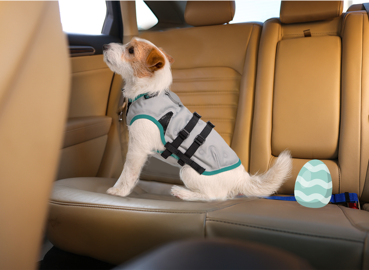 Gilet De Refroidissement Pour Chien - été, Réglable, Réfléchissant (taille S)